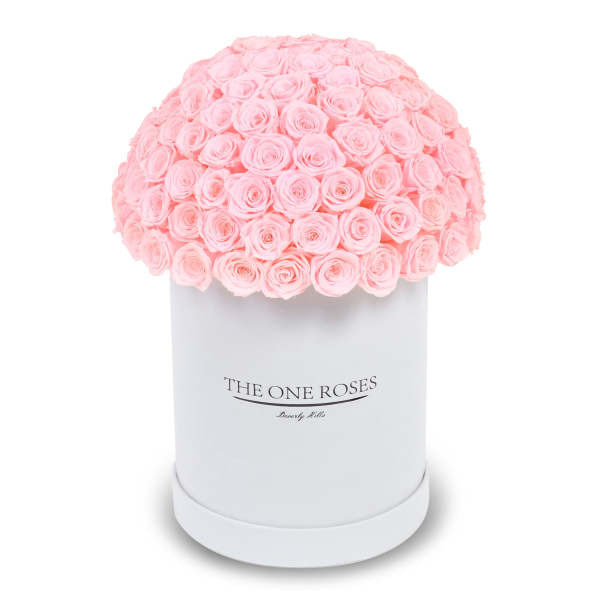 Pink roses arranged in a white round box