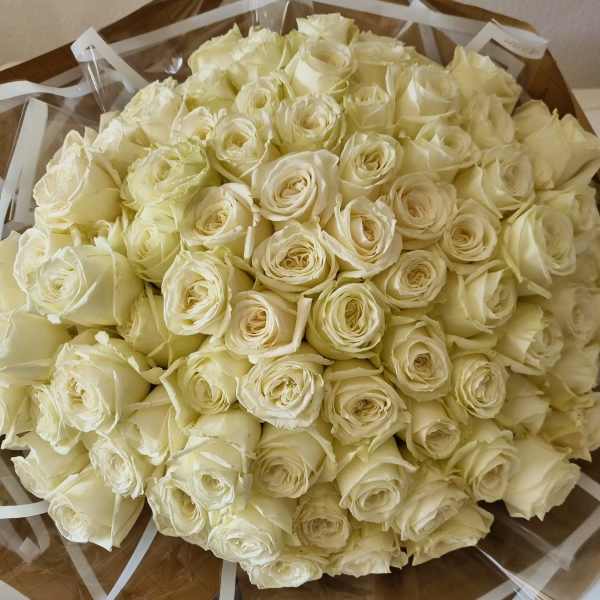 Large bouquet of cream-white roses wrapped in brown paper with white ribbon