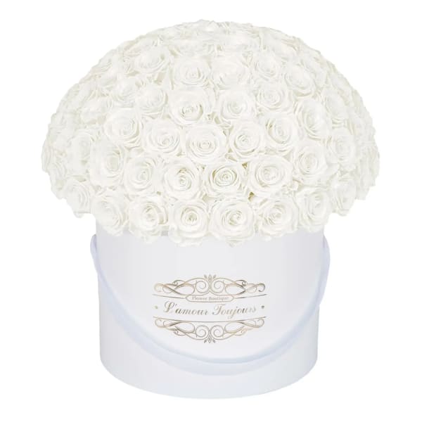 White rose arrangement in a round white box