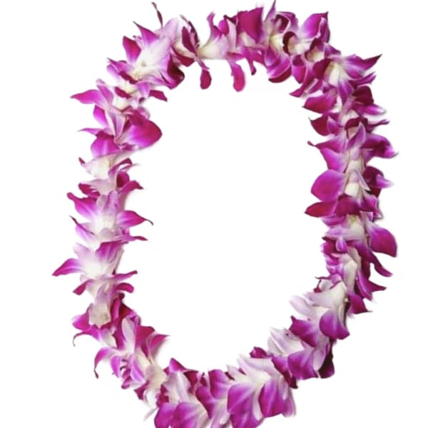 Purple and white orchid lei on a white background