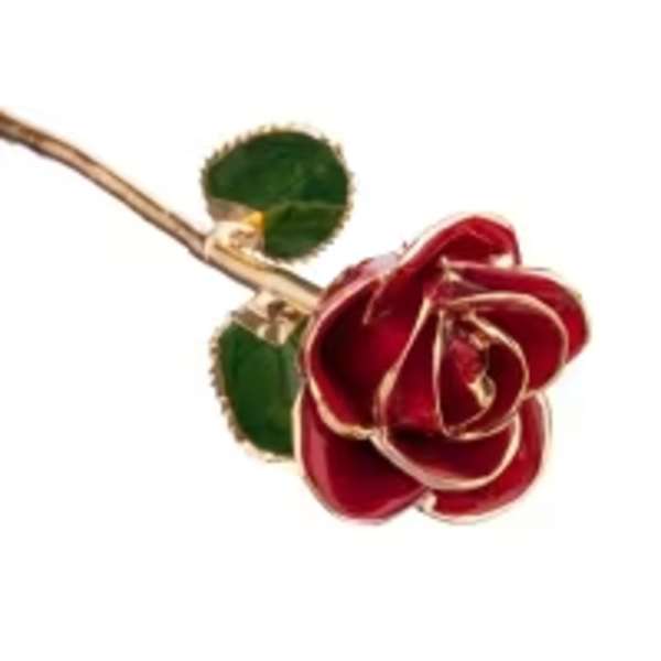 Single red rose with green leaves on a stem