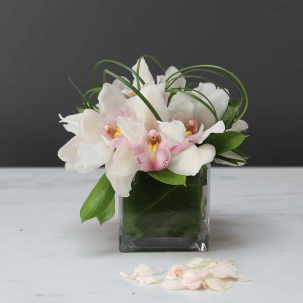 White and pale pink orchids arranged in a square glass vase.