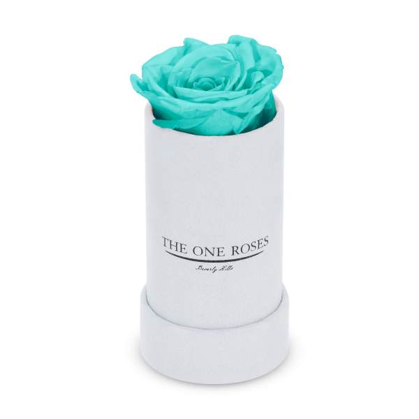 Single turquoise rose in a white cylindrical box