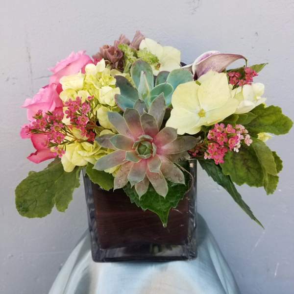Succulent and mixed flower arrangement in a square glass vase