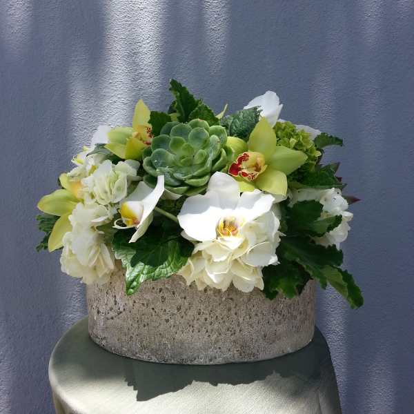 White orchids and hydrangeas arranged around a green succulent in a stone bowl