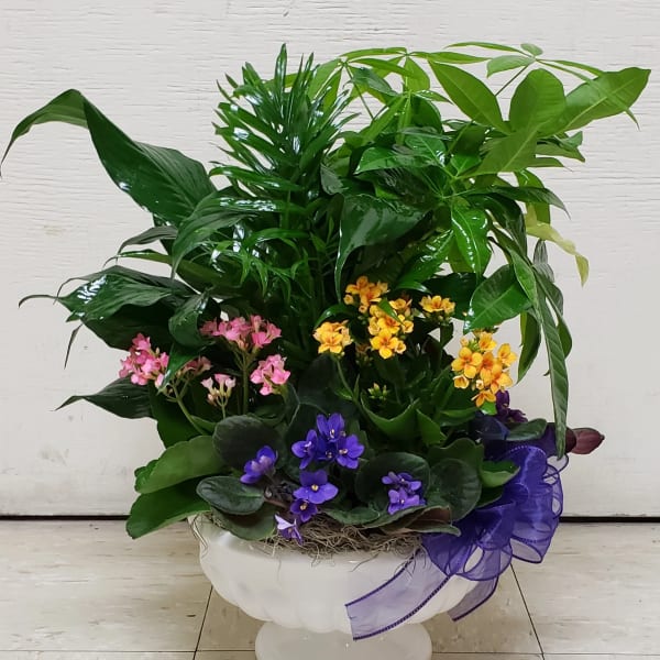 Mixed potted flowering plant arrangement in a white pedestal bowl
