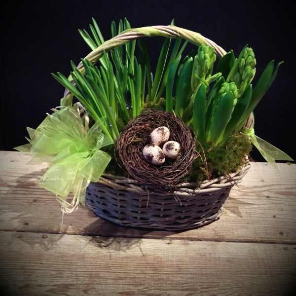 Sparrow's Bulb Garden