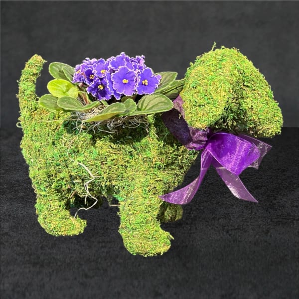 Moss-covered elephant planter with purple flowers and a ribbon