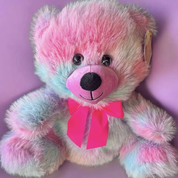 Pink and Blue Teddy Bear Medium