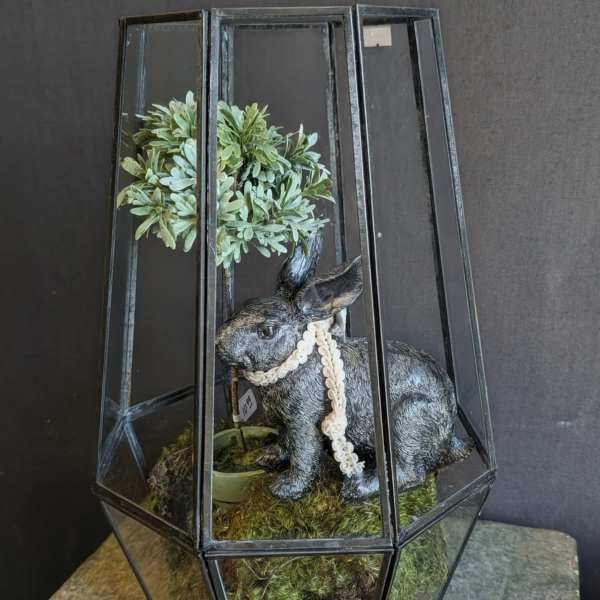 Moss Bunny Terrarium