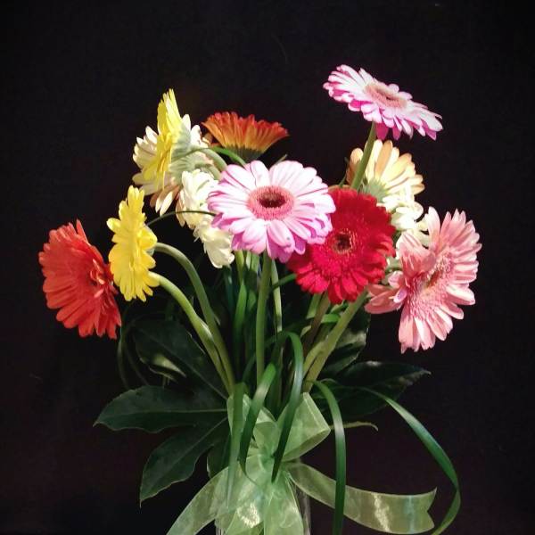 Bouquet of colorful gerbera daisies in a glass vase