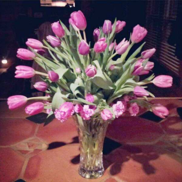 Pink tulips arranged in a clear glass vase