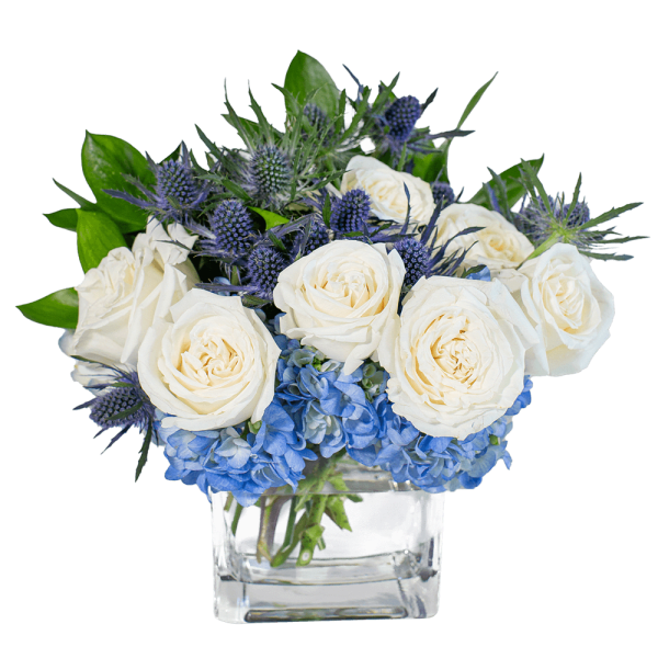 Low arrangement of white roses and blue hydrangeas in a clear glass cube vase
