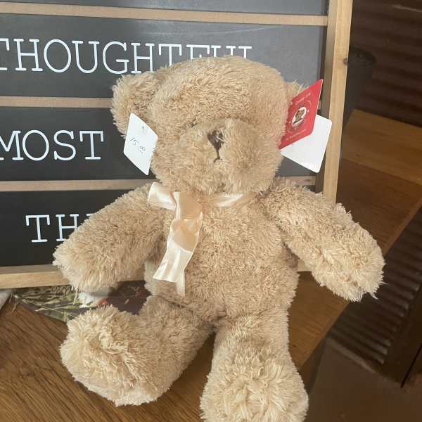 10” Teddy Bear