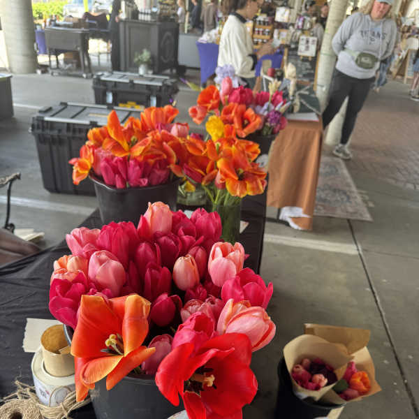 Buckets of bright tulips in pink, orange, and red at an outdoor market