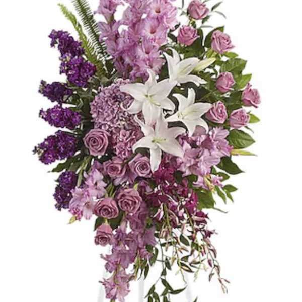 Lavender Reflections