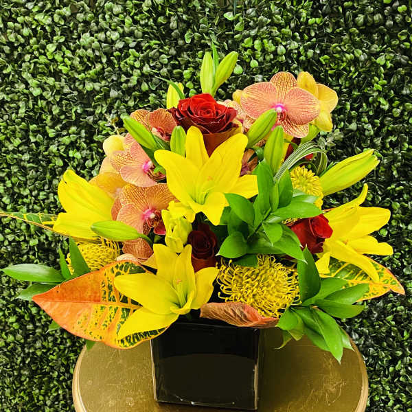 Tropical Lily Garden