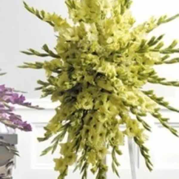 Tall yellow floral spray with long pointed blooms on a stand