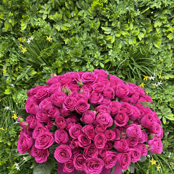 Large bouquet of hot pink roses in a magenta hatbox