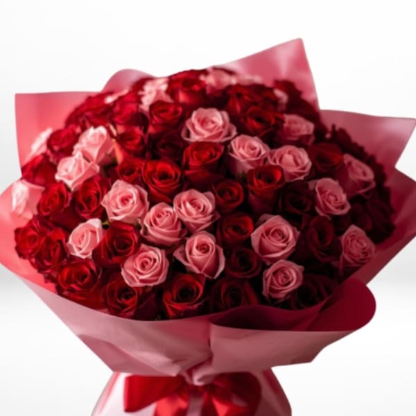 Bouquet of red and pink roses wrapped in pink paper