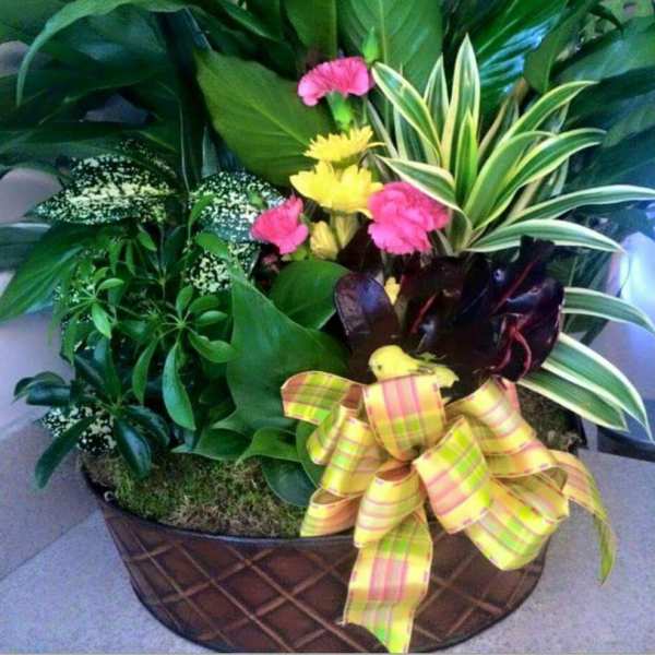 Tropical plant arrangement with pink and yellow flowers in a basket