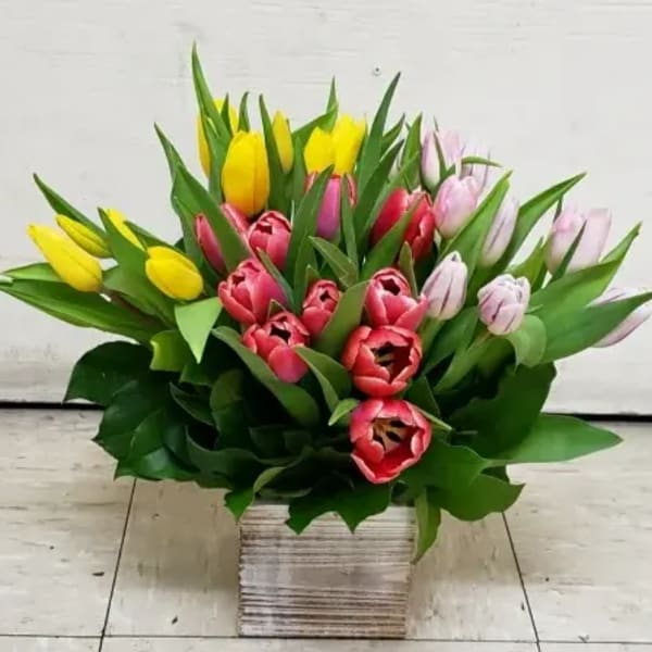 Colorful tulip arrangement in a square wooden container