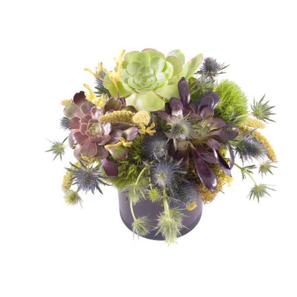 Succulent arrangement in a dark pot with spiky blue thistle accents
