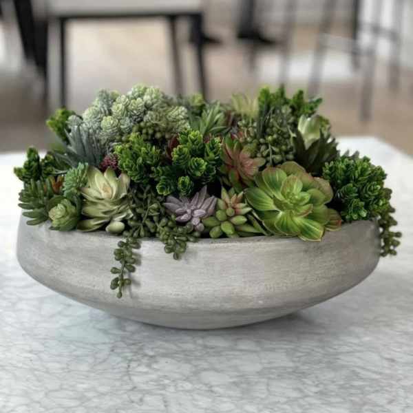 Low bowl arrangement of assorted succulents in a gray planter