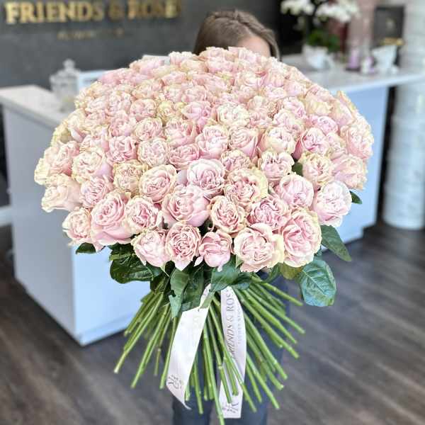 Large bouquet of pale pink roses with a ribbon tie