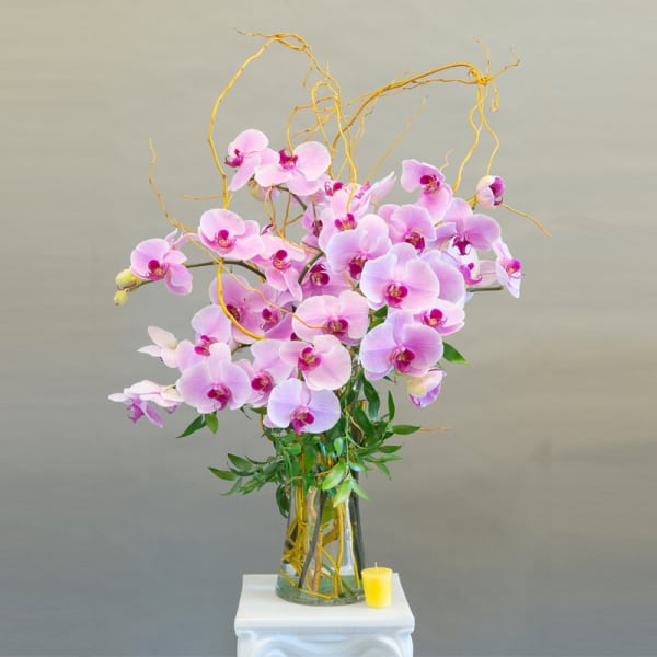 Pink orchids in a glass vase with curly branches and a small candle