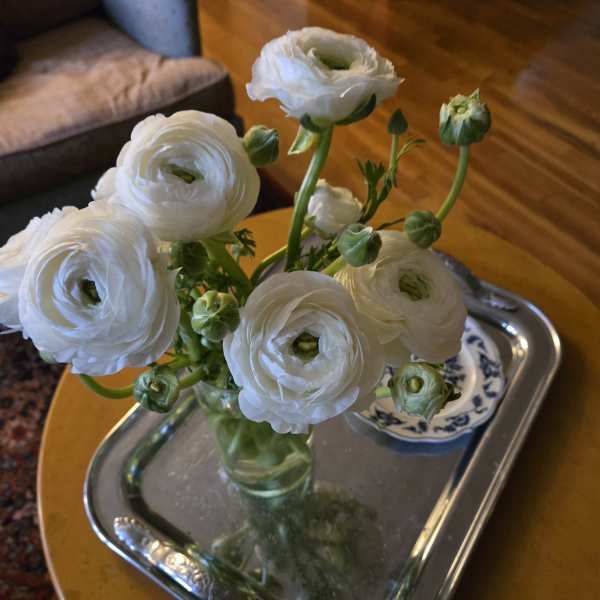 White ranunculus in a glass vase on a silver tray