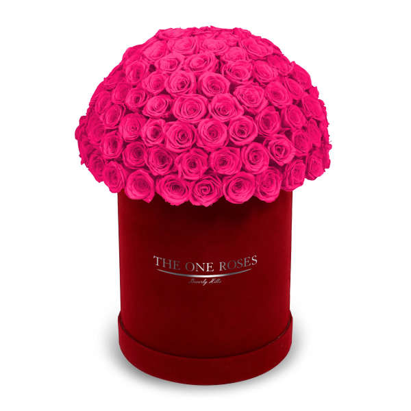 Hot pink roses arranged in a red round box