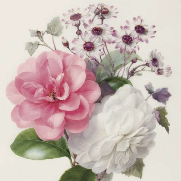 Pink and white flowers with purple daisy-like blooms on a light background