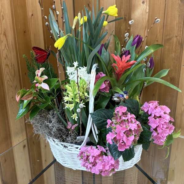 Blooming Spring Garden