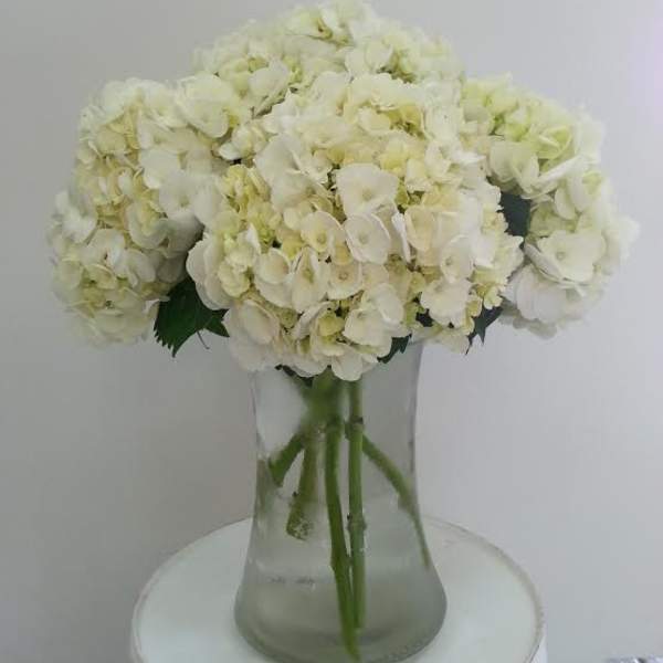 White hydrangea bouquet in a clear glass vase