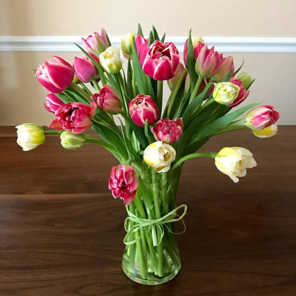 Bouquet of pink and yellow tulips in a clear glass vase