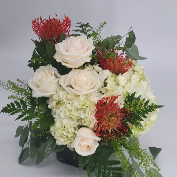 Low arrangement of white roses and hydrangeas with red pincushion proteas in a black cube vase