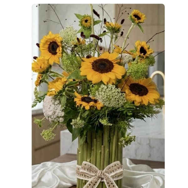 Tall sunflower arrangement with white filler flowers in a green cylinder vase wrapped with a lace bow