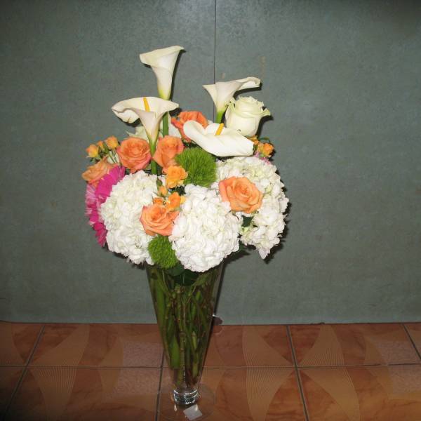 White and Orange #23