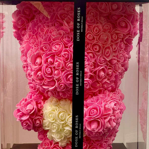 Pink rose teddy bear in a clear display box