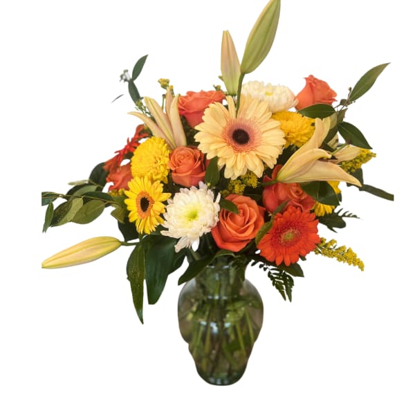 Gerber Daises Galore!