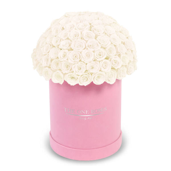 White roses arranged in a pink round box