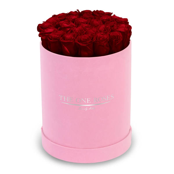 Red roses arranged in a pink round box