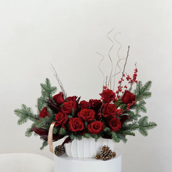 Red roses arranged in a white vase with pine branches and berries