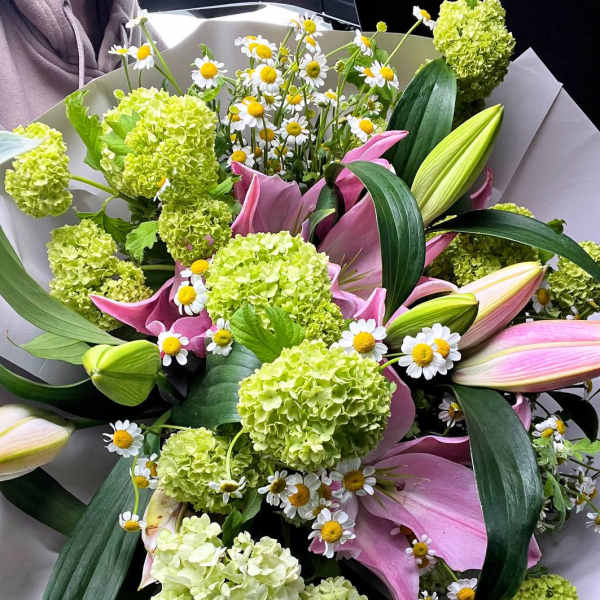Bouquet of pink lilies, green hydrangeas, and white daisies