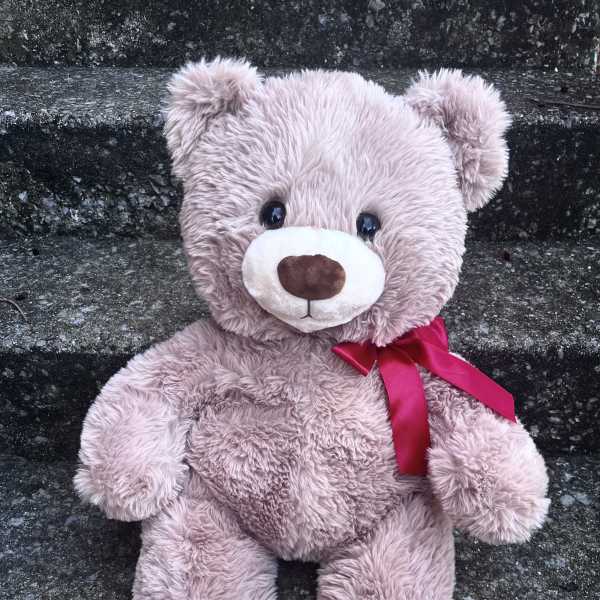 Pink teddy bear with a red ribbon sitting on stone steps