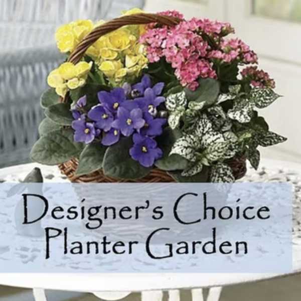 Designers choice Planter Garden