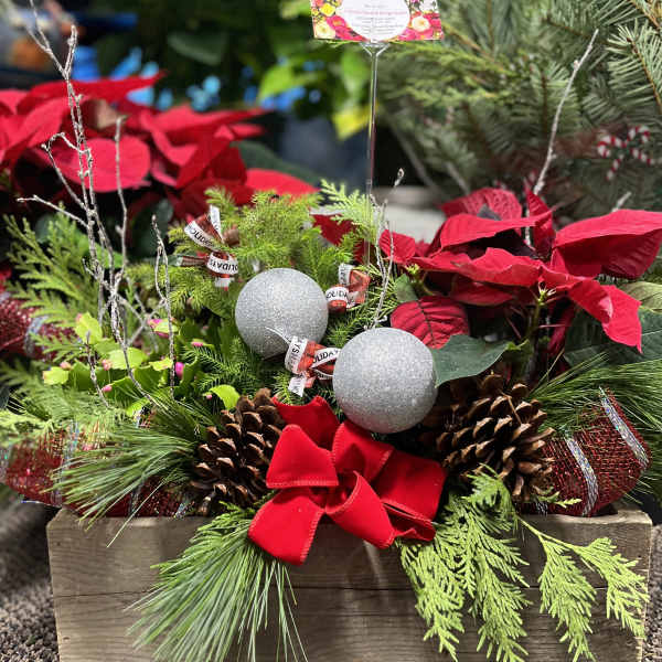 Holiday planter with poinsettias, pinecones, and silver ornaments in a wooden box