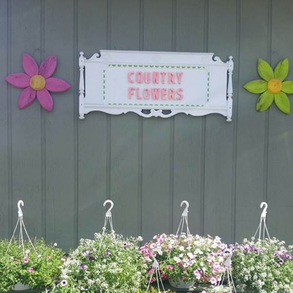 Outdoor display of hanging baskets with mixed flowers beneath a "Country Flowers" sign