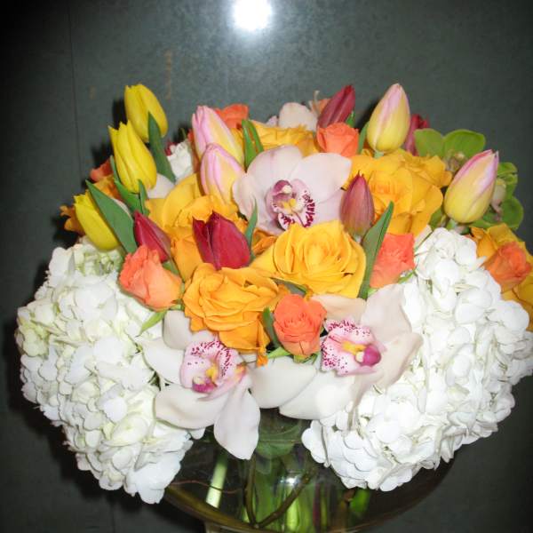 Ross tulips hydrangea orchid #44